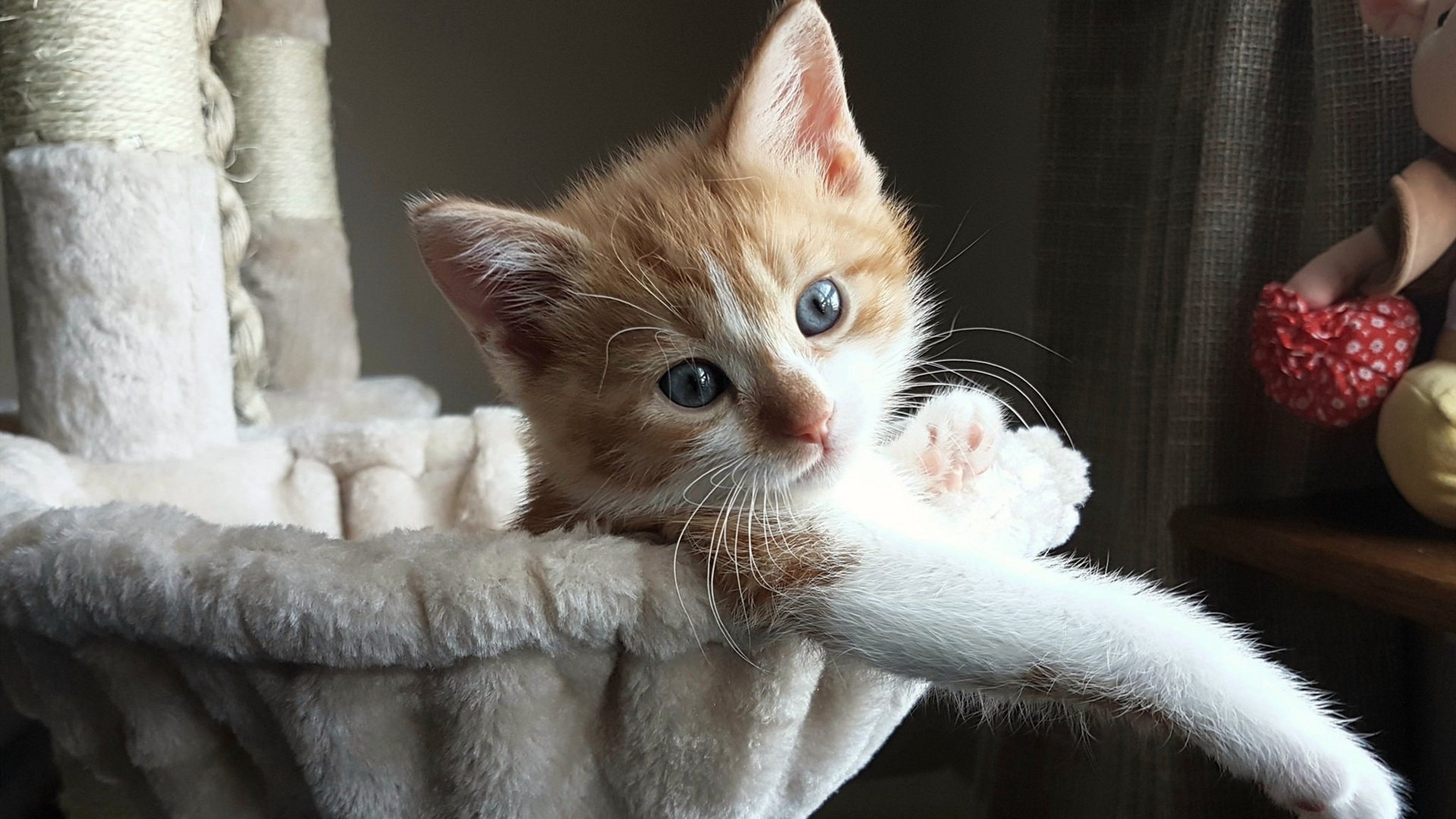 开云官网APP下载-“明星先发投手全场爆发，投出职业生涯最佳表现”，明星投篮