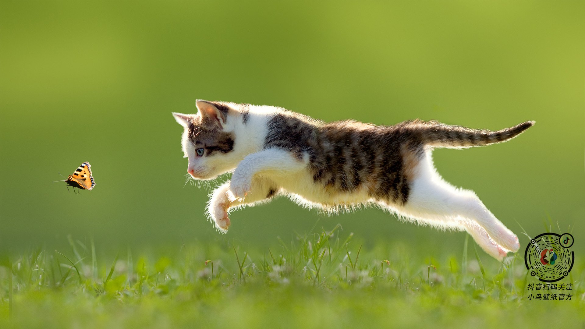 《Hope:年轻天才的崛起,期待更多精彩表现》,年轻的天才们