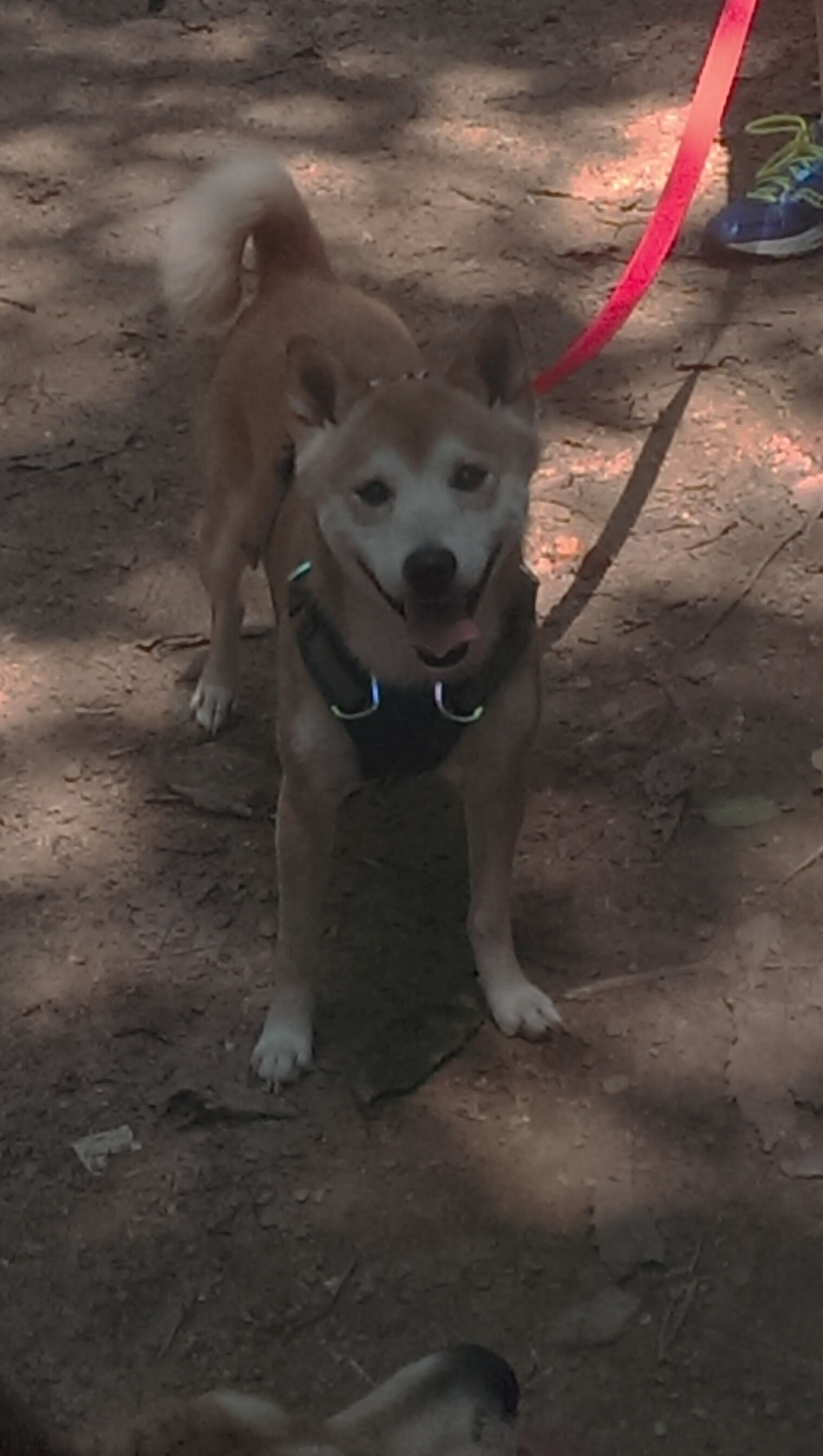 Kaiyun官方登录入口-快船连续两场“绝地反击”，展现“铁血精神”！，快船队被逆转视频